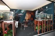 GTE 2012: Pavilion of Louis Moinet watches