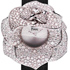 Piaget Rose Secret: Watch for the Beautiful Half of the Planet