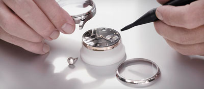 IWC watch assembly