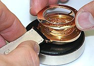Charmex watch assembly