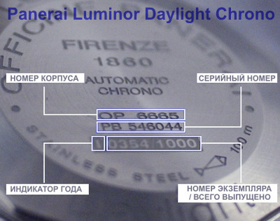 numbers on the caseback