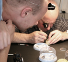 The Process Of Watchmaking