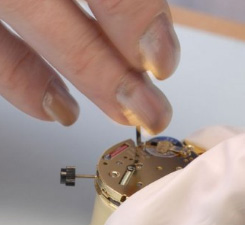 Blanche Fontanie watch assembly