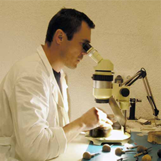 laboratory Alexander Shorokhoff