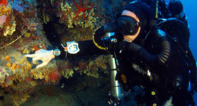 Immersion watch on the diver's wrist