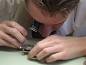 Delma watch assembly