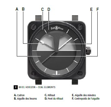 BR 01 Horizon watch schematic representation