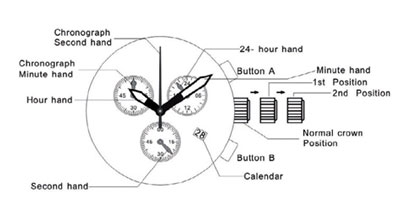 Obaku watches schematic representation