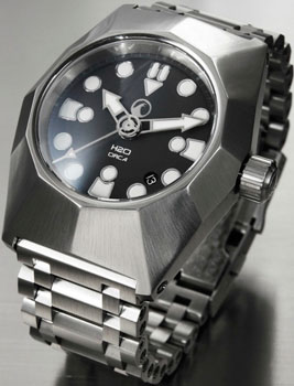 H20 Orca watch