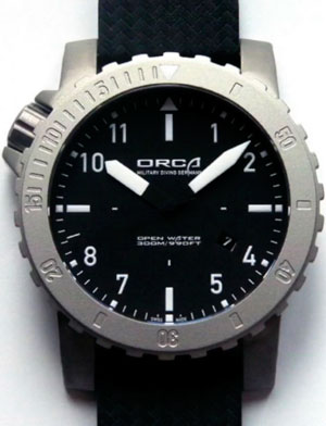 Orca Open Water watch