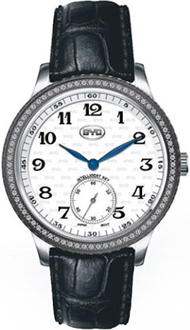 BYD watch
