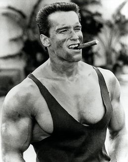 Arnold Schwarzenegger - training program