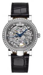 wristwatch Special Edition Skeleton Automatic